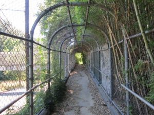 1175394_797482306943_1990553371_n