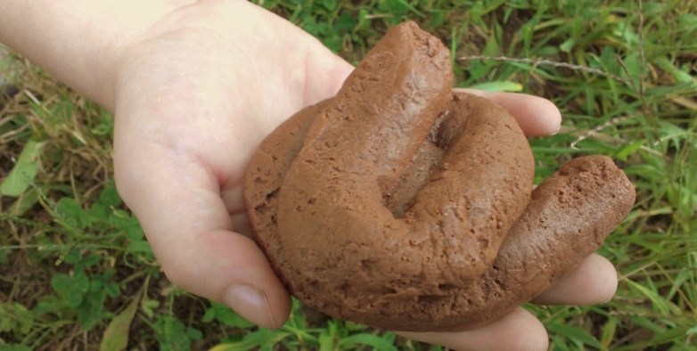 Dog-poop-1000px-990x500