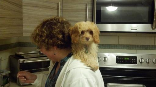 12341515_10100192410369913_2264184508591188917_n